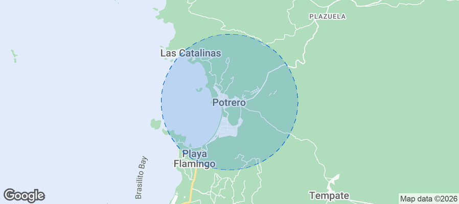 Discover Potrero Airbnb Analytics